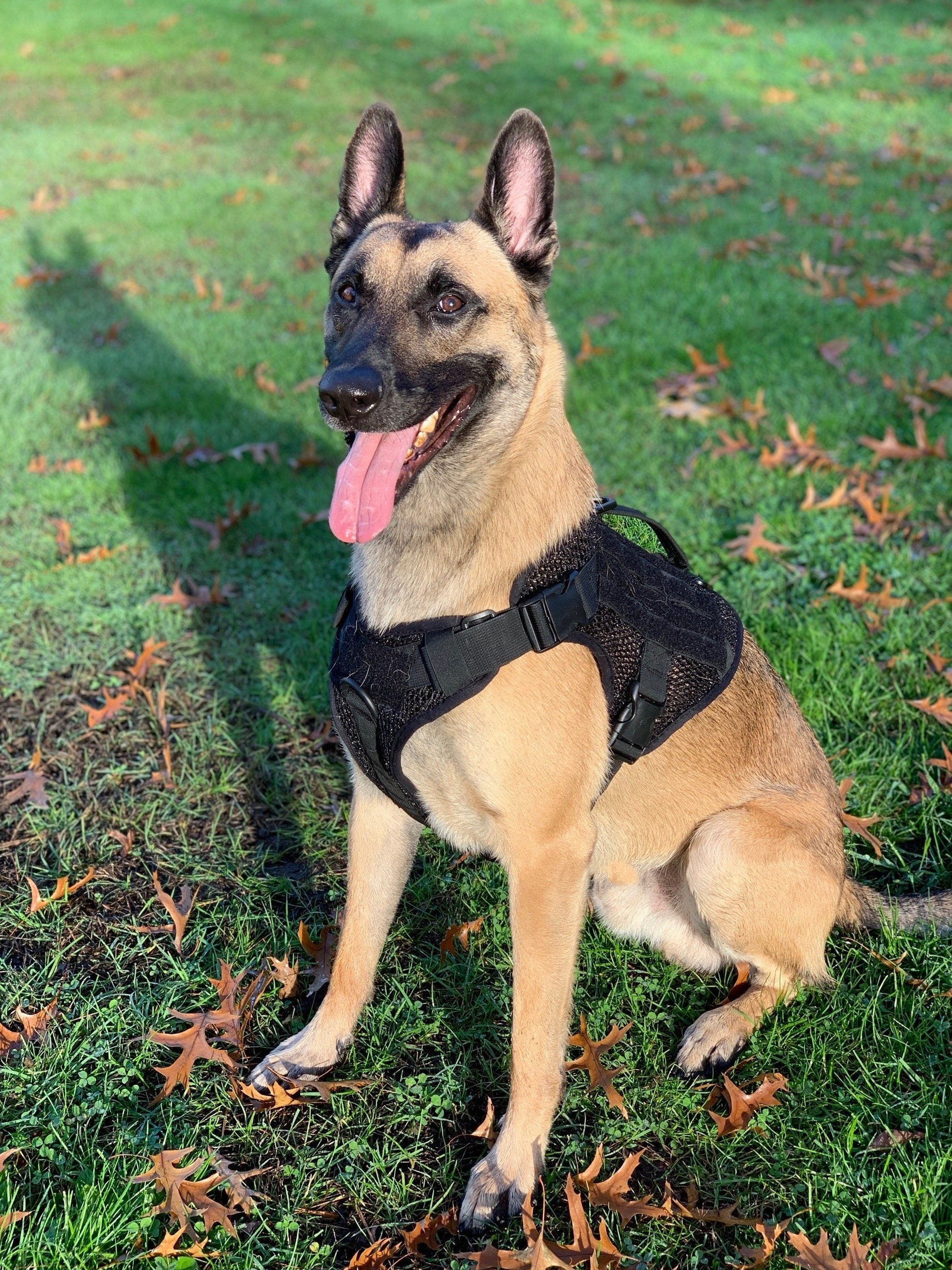 Artemis Dog Harness - No Pull No Tug No Choke Adjustable Breathable K-9 by 221B Tactical - PrepTakers - Survival Guide Information & Products