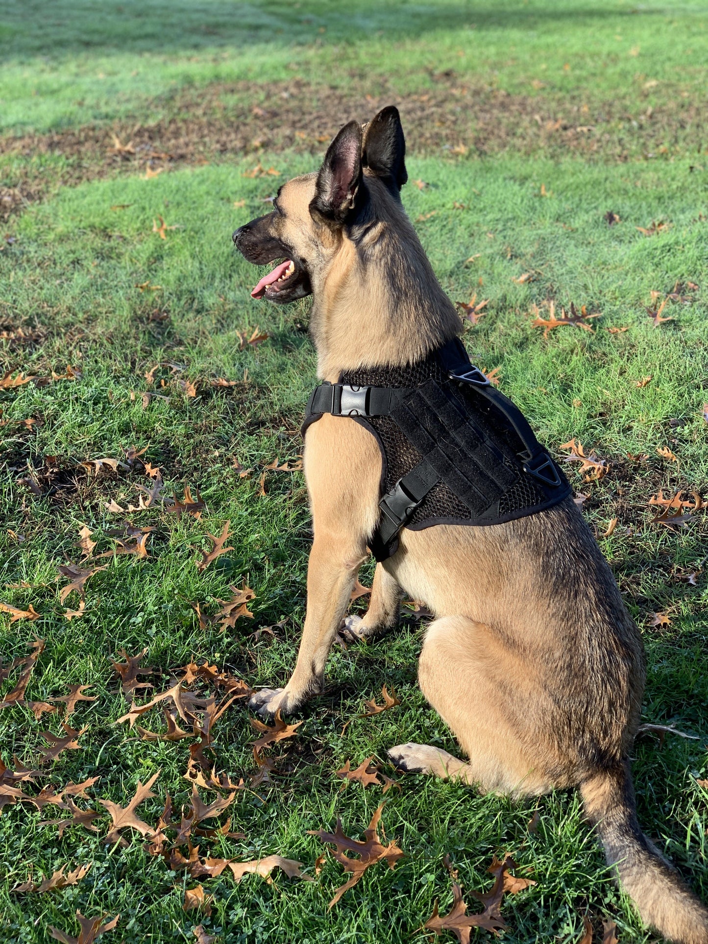 Artemis Dog Harness - No Pull No Tug No Choke Adjustable Breathable K-9 by 221B Tactical - PrepTakers - Survival Guide Information & Products