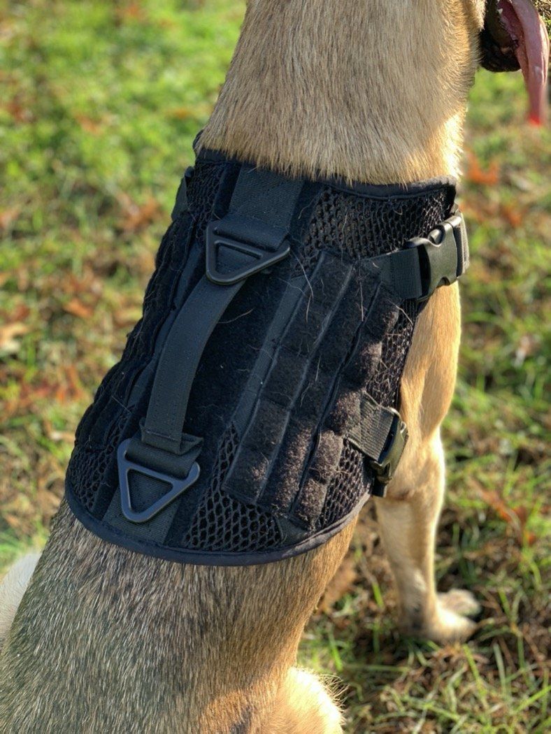 Artemis Dog Harness - No Pull No Tug No Choke Adjustable Breathable K-9 by 221B Tactical - PrepTakers - Survival Guide Information & Products